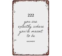 NWPNLXEA Vintage Minimalist Metal Tin Sign Featuring the Number 222 and Its Meaning for Home Office (8 X 12 in)