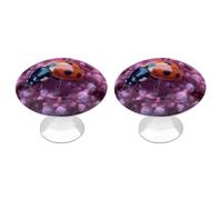 NWTRJ Lot de 2 boutons d'armoire de cuisine de style moderne - Boutons de tiroir ronds en forme de coccinelle sur fleur pour la maison, le bureau, la cuisine