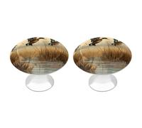 NWTRJ Lot de 2 boutons d'armoire de cuisine de style moderne, boutons de tiroir ronds pour la maison, le bureau, la cuisine
