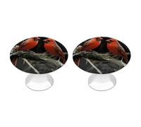 NWTRJ Lot de 2 boutons d'armoire de cuisine de style moderne, boutons de tiroir ronds pour la maison, le bureau, la cuisine