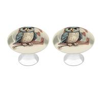 NWTRJ Lot de 2 boutons d'armoire de cuisine de style moderne, boutons de tiroir ronds simplifiés en forme de hibou pour la maison, le bureau, la cuisine