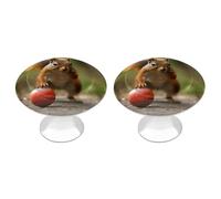 NWTRJ Lot de 2 boutons d'armoire de cuisine de style moderne pour tiroir de commode, écureuil tenant des fruits, boutons de tiroir ronds pour la maison, le bureau, la cuisine
