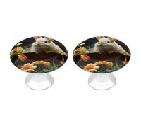 NWTRJ Lot de 2 boutons d'armoire de cuisine ronds de style moderne pour la maison, le bureau, la cuisine