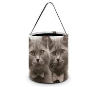 NWTRJ Sacs à friandises ou tours d'Halloween de taille unique, portable, réutilisable, seau à bonbons d'Halloween, sac fourre-tout avec poignées pour fournitures de fête d'Halloween, style, taille