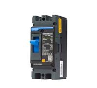 NXM 2P 10A 250A MCCB Moulded Case Circuit Breaker Provide Protection Overload Short Circuit Under Voltage Power Motor, Pièces(160A)