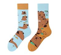 NxnChc Chaussettes Drôles Pour Femmes Et Hommes Unisexe Multi Motifs Capibara maladroit Animaux Nourriture Sport Art Coton Cadeau Design Asymétrique Gauche-Droite