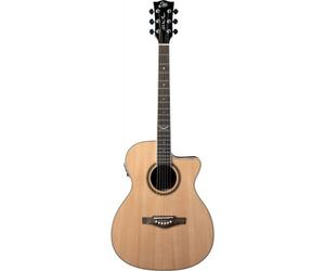 NXT A100ce Auditorium Natural