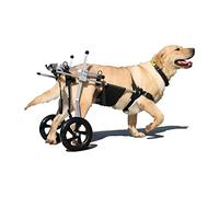 NXTFNRNX Fauteuil Roulant, Fauteuil Roulant, Poussette réglable en Acier Inoxydable pour Animaux de Compagnie, Poussette pour Chien et Chat pour la rééducation des Pattes arrière