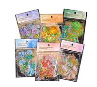 Nxyupv Autocollants Holographiques de Plantes et de Fleurs Naturelles en Feuille D'Or, 240 Pièces, Autocollants Imperméables à Paillettes Claires pour Scrapbooking, Fleurs Botaniques
