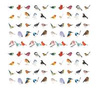 NYGGTYK 92 Autocollants d'oiseaux, Autocollants d'animaux Mignons, Autocollants Imperméables, Qui Peuvent Décorer des Albums, des Étuis De Téléphonie Mobile Et des Bouteilles d'eau.