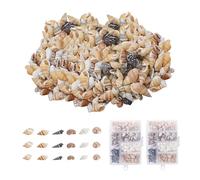 NYGGTYK Lot de 200 coquillages décoratifs pour aquarium, artisanat de coquillages naturels, décoration de coquillages exquises, convient pour les réservoirs d'eau, la décoration de la maison et