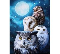NYIXIA point de croix kit complet adulte,Chouette,dmc canevas point de croix kit complet,40×50cm,debutant broderie point de croix imprimé