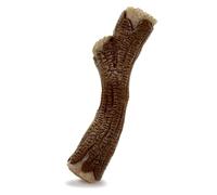 Nylabone Jouet à mâcher en Bois véritable pour Chiens, Jouet en Caoutchouc pour mâcheurs modérés et agressifs, saveur Bacon, Taille M, jusqu'à 15,9 kg, 1 pièce