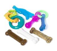 Nylabone Lot Packs de démarrage Puppy Chew Toys