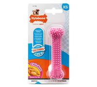 NYLABONE-Os de dentition Nylabone pour chiot saveur poulet taille XS rose