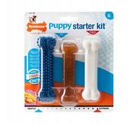 Nylabone Puppy Chew Puppy Starter Kit Chicken (Poulet)