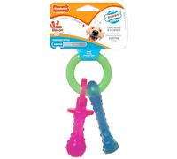 Nylabone - Jouet de dentition sucette pour chiots - Saveur bacon