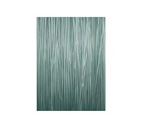 Nylon Carp Spirit Dressen-x Anti Abrasion