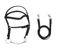 Nylon Horse Bridle Rein | Adjustable Headstall for Control & Comfort | Equestrian Training Aid for Riding/Training/Competition | Stylish & Sturdy Design (L)