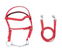 Nylon Horse Bridle Rein | Adjustable Headstall for Control & Comfort | Equestrian Training Aid for Riding/Training/Competition | Stylish & Sturdy Design (L)
