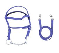 Nylon Horse Bridle Rein | Adjustable Headstall for Control & Comfort | Equestrian Training Aid for Riding/Training/Competition | Stylish & Sturdy Design (L)