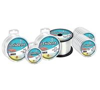Nylon RAGOT Trident 150 m 80/100