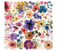 Nymora 50 Stück Sticker Set, Aesthetic Sticker für Journal, Bullet Journal, Kindle, Handyhülle, Vintage Blumen Aufkleber, Transparent & Wasserfest