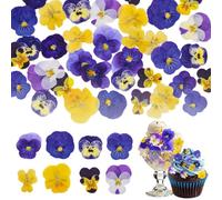 Nymora 72 Pièces Fleurs Séchées Décoratives, 8 Variétés de Fleurs Pressées pour Projets DIY, Scrapbooking, Résine et Décoration Artisanale