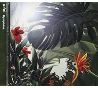 Nympheas [Import allemand]