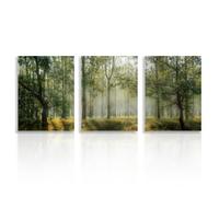 NymphFable Affiche Décorative Murale Forêt Nature, Poster Mural en Toile de Paysage d'Arbre Vert pour Décoration de Chambre à Vivre 12x16 in Set de 3 Non Encadrés