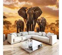 NYSMGS Papier Peint Panoramique éléphant Papier Peint Intissé Fresque Murale 3D Afrique Animaux Wallpaper 500x280cm Pour Salon Chambre Bureau Décoration Murale Poster Intérieure 3H20