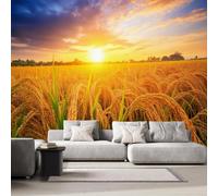 NYSMGS Papier Peint Panoramique Rizière 250x175 Déco Maison | Fresque murale photo effet 3D, décoration murale Intissé moderne Coucher De Soleil Rural adapté salon, chambre, bureau d-81