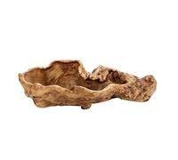 Nysunshine Pot de fleurs rétro en résine - Sculpture artificielle en bois flotté - Cactus - Décoration en résine - Souche d'arbre