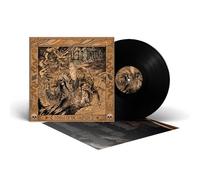 NYTT LAND - SONGS OF THE SHAMAN (BLACK VINYL) VINYL LP NEUF