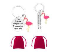 NyxSeat Lot de 2 porte-clés d'inspiration oiseau accrocheur, 2 sangles de rangement, porte-clés flamant rose, accessoires de porte-clés personnalisés, cadeaux pour femmes et filles, Couleur : acier