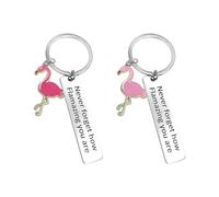 NyxSeat Lot de 2 Porte-clés Flamant Rose avec Boîte Cadeau - en Acier Inoxydable, Pendentif d'Encouragement Multicolore, Taille Unique