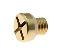 NZBZKKNBCP Bouchon de purge tuyau radiateur liquide refroidissement adapté for BMW Série 3 E30 E36 E46 Mini système vis en laiton 17110141325 Composants de radiateur