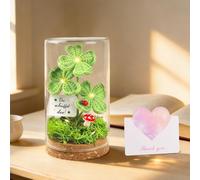 Nzkeuf Porte-Bonheur, Amulette Tricotée à Quatre Feuilles dans Un Verre avec Guirlande Lumineuse LED, Cadeau d'encouragement, Cadeau de Prompt Rétablissement