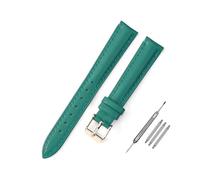 NZVCQVPU Bracelet de rechange pour femme de 10 à 24 mm