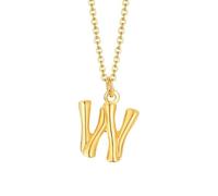 NZVCQVPU Collier avec pendentif initiale en acier inoxydable pour femme, collier rappeur pour homme avec chaîne de 50,8 cm, taille unique, Standard, Standard