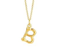 NZVCQVPU Collier avec pendentif initiale en acier inoxydable pour femme, collier rappeur pour homme avec chaîne de 50,8 cm, taille unique, Standard, Standard