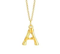NZVCQVPU Collier avec pendentif initiale en acier inoxydable pour femme, collier rappeur pour homme avec chaîne de 50,8 cm, taille unique, Standard, Standard