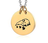 NZVCQVPU Collier de cendres pour animaux de compagnie, collier de crémation personnalisé pour cendres en acier inoxydable pendentif rond avec chien et imprimé de patte