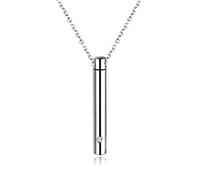 NZVCQVPU Collier urne souvenir pour cendres humaines, colliers de crémation pour homme en acier inoxydable avec pendentif cylindrique avec zircone, taille unique, Standard, Standard