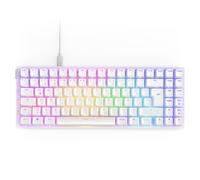 NZXT Function 2 MiniTKL - 2024 Clavier de Jeu Optique Tenkeyless - Éclairage RVB - Taux de requête 8K - Commutateurs d'option linéaire - Déclenchement réglable - Échange à Chaud - Blanc DE (QWERTZ)
