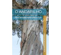 O ANDARILHO: Uma Jornada entre o Pó e a Luz