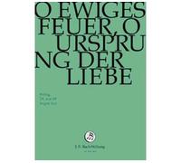 O Ewiges Feuer O Ursprung Der Liebe DVD DVD
