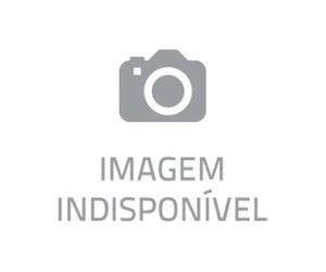 o menino que buscava perolas fernando coelho