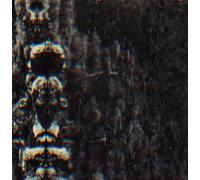 Forest People and The Spirits