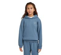 O´neill Sweat à Capuche Essentials